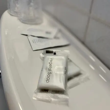 雷乌蒂娜尔霍夫酒店 2* 林道